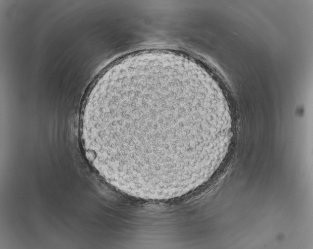 X0000116811220201001151137