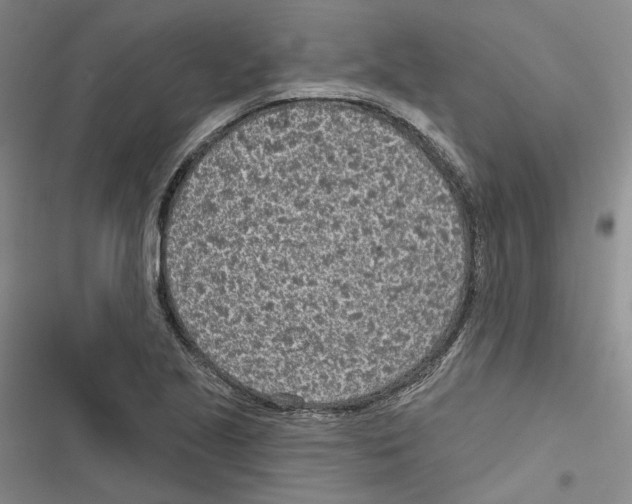 X0000116811221201001151137