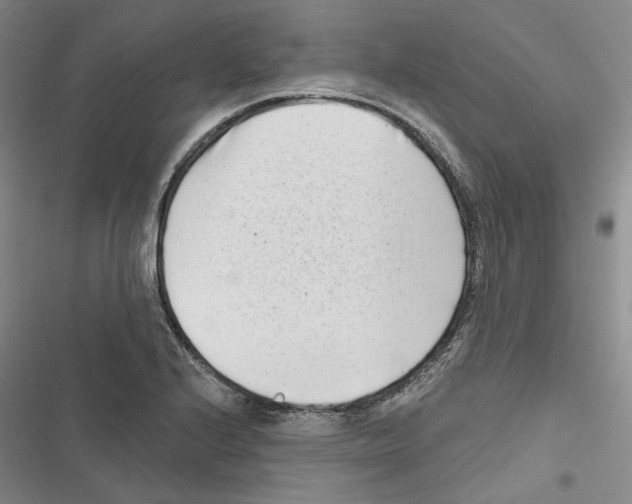 X0000116811224201001151137