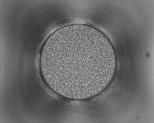 X0000116811227201001151137