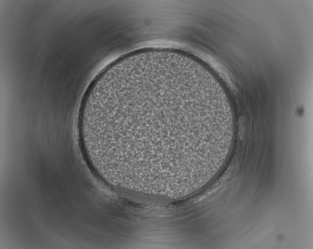 X0000116811229201001151137