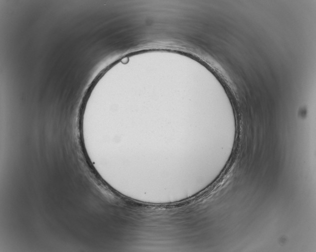X0000116811230201001151137