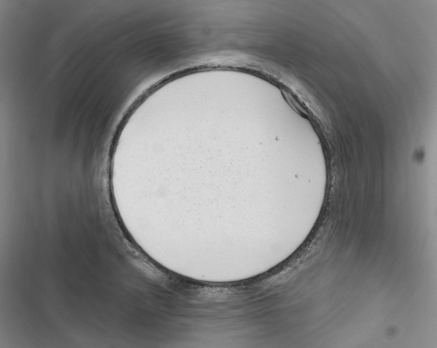 X0000116811232201001151137