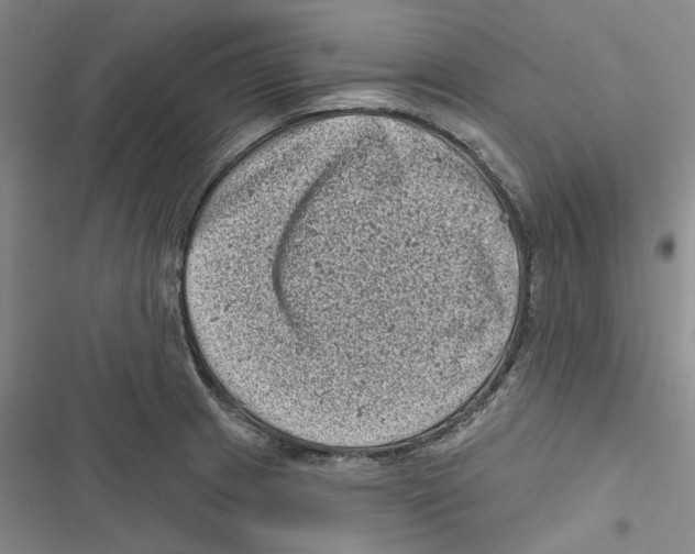 X0000116811233201001151137