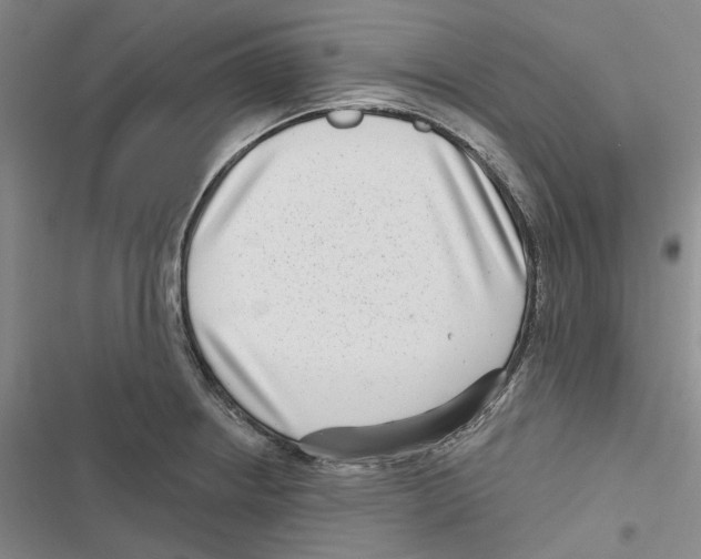 X0000116811234201001151137