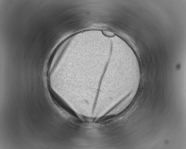 X0000116811235201001151137