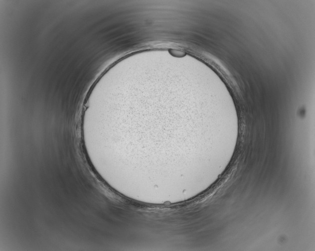 X0000116811236201001151137