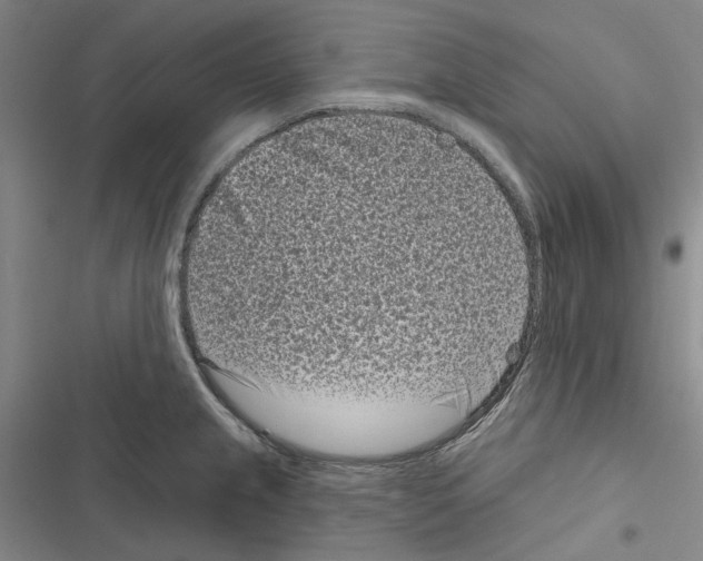 X0000116811237201001151137
