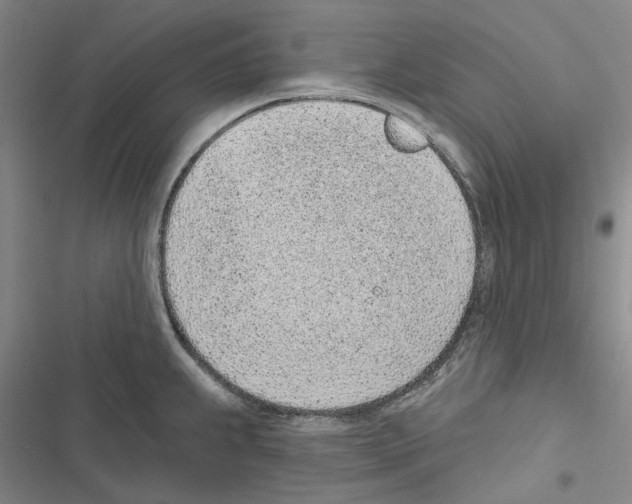 X0000116811239201001151137