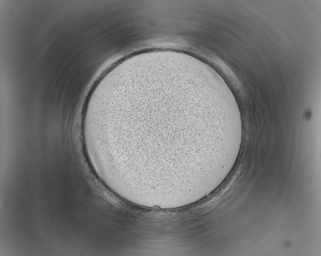 X0000116811240201001151137