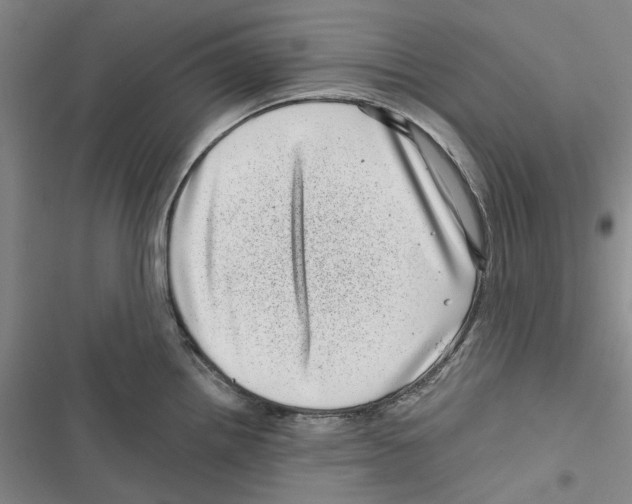 X0000116811242201001151137