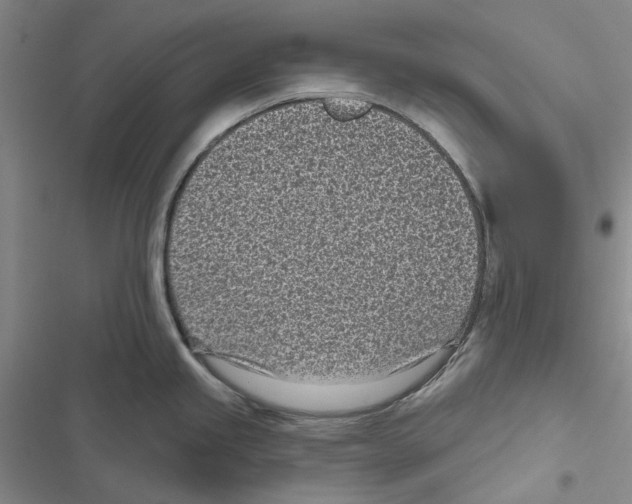X0000116811245201001151137