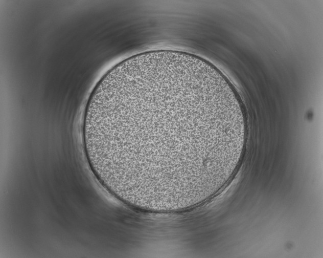 X0000116811246201001151137