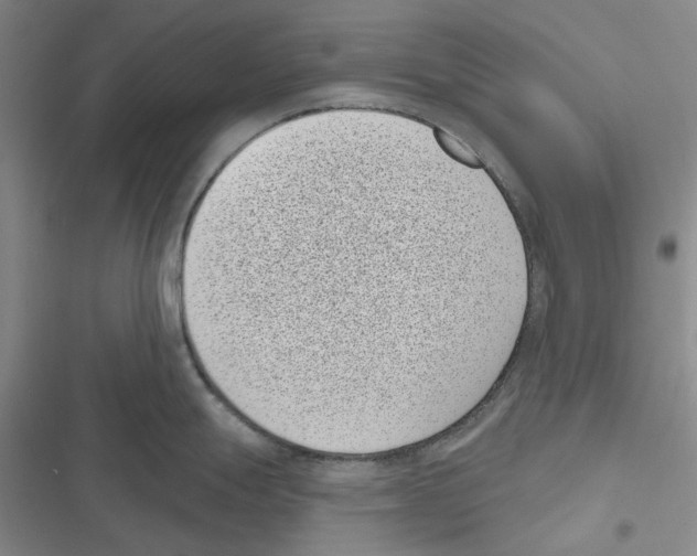 X0000116811247201001151137