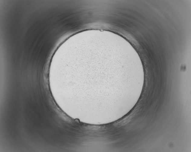 X0000116811248201001151137
