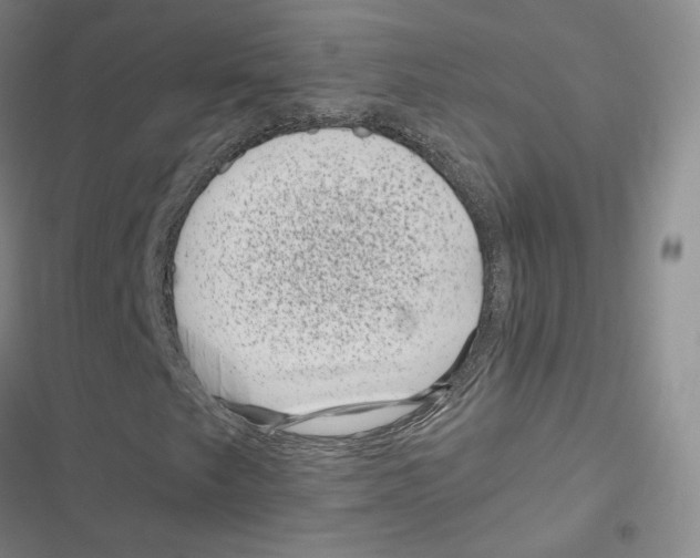 X0000116811249201001151136