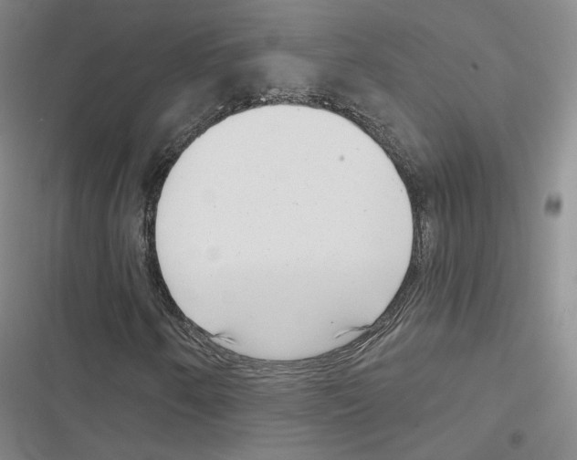X0000116811250201001151136