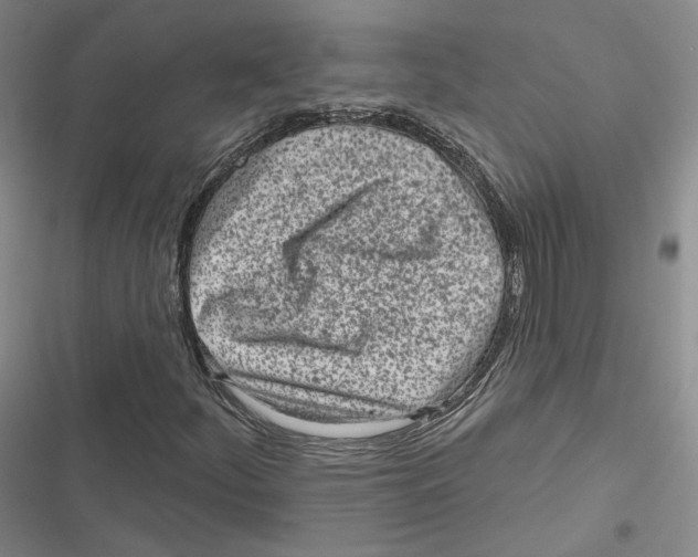 X0000116811252201001151136