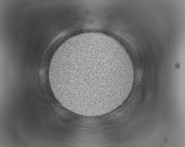 X0000116811254201001151136