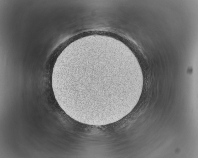 X0000116811255201001151136