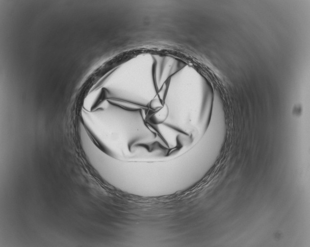 X0000116811256201001151136