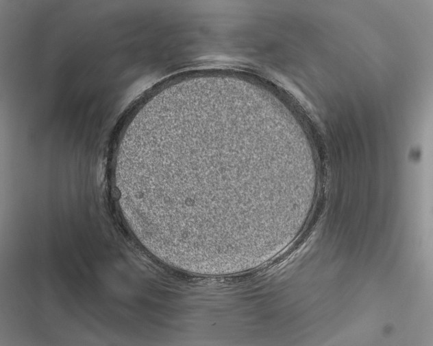 X0000116811259201001151136