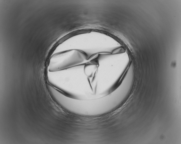 X0000116811260201001151136