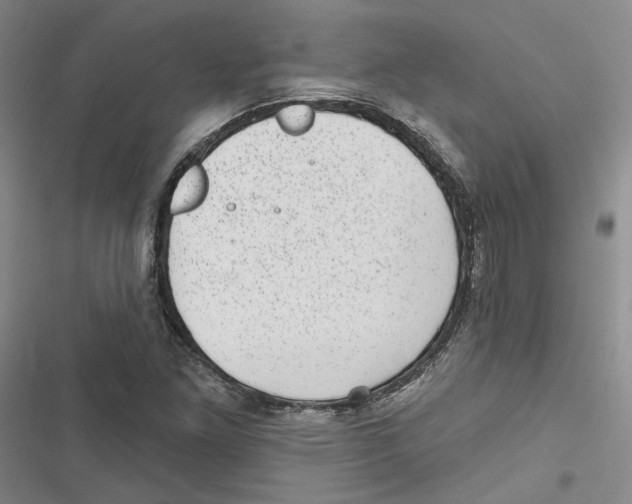 X0000116811261201001151136