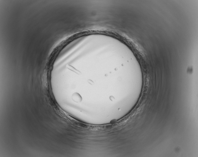 X0000116811262201001151136