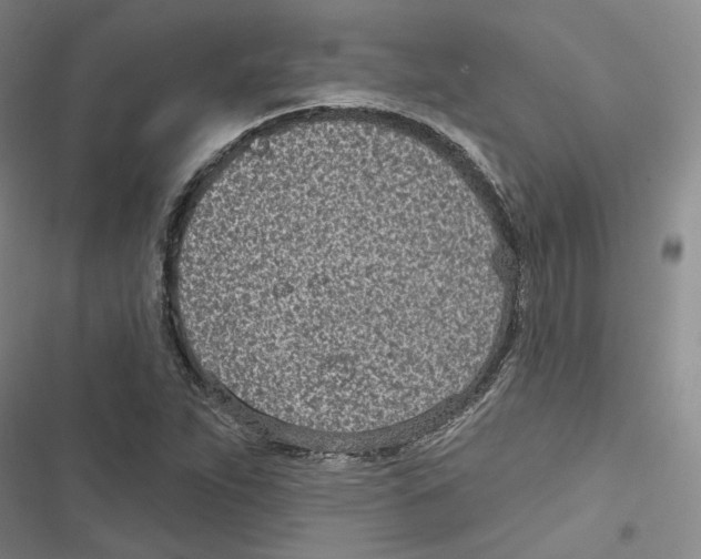X0000116811263201001151136