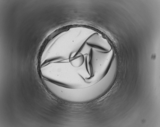X0000116811264201001151136