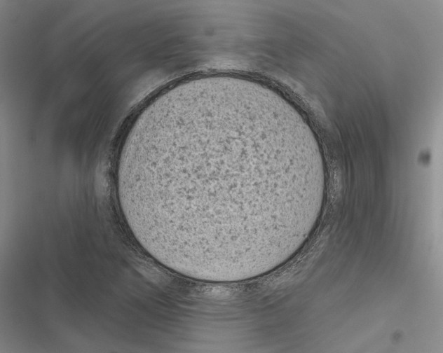 X0000116811266201001151136