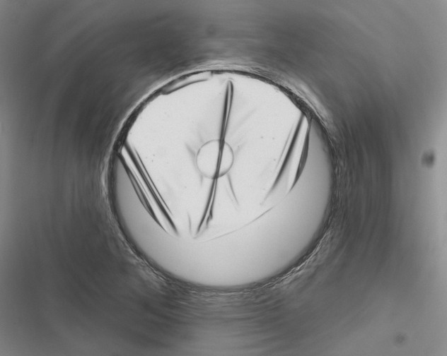 X0000116811268201001151136