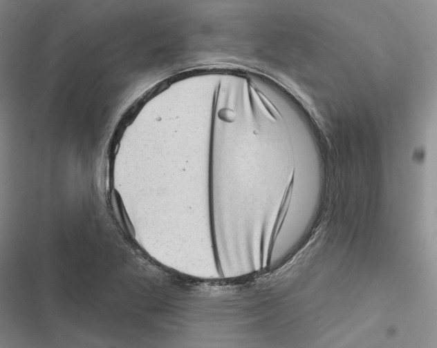 X0000116811269201001151136
