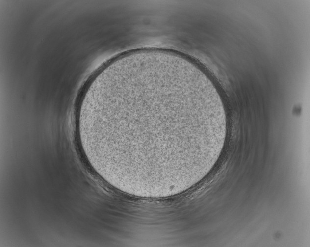 X0000116811270201001151136