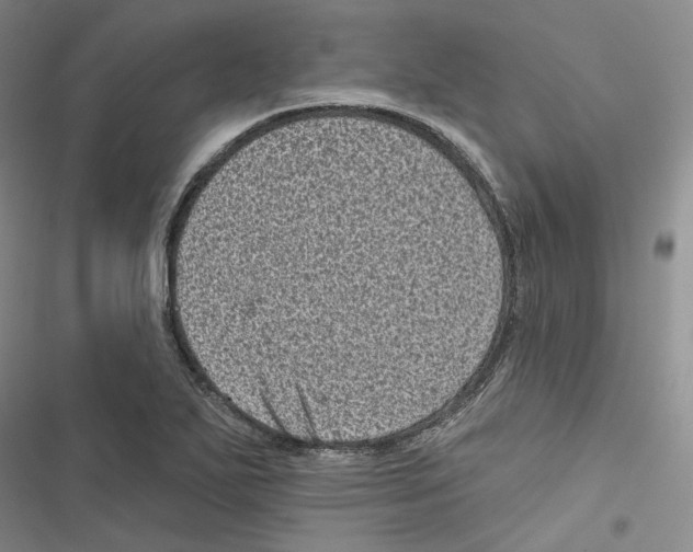 X0000116811271201001151136