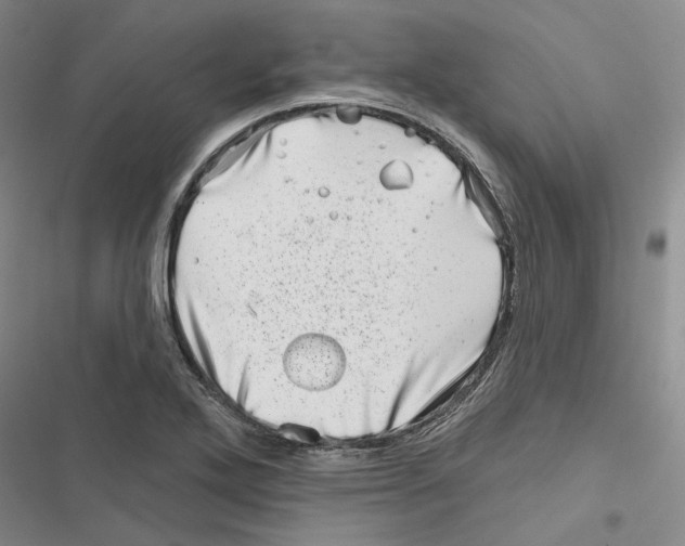 X0000116811272201001151136