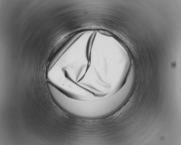 X0000116811273201001151136