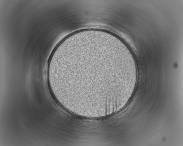 X0000116811275201001151136