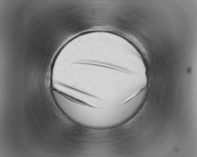 X0000116811276201001151136