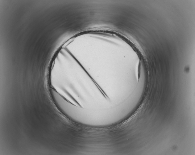 X0000116811277201001151136