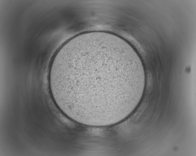 X0000116811278201001151136