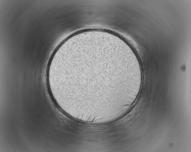 X0000116811279201001151136