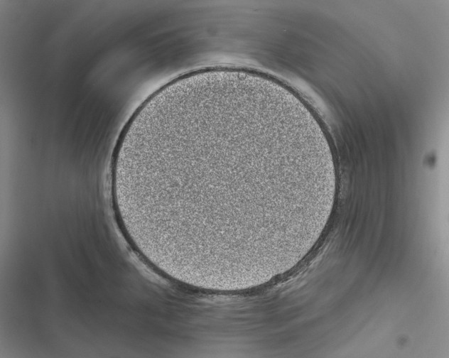 X0000116811287201001151136
