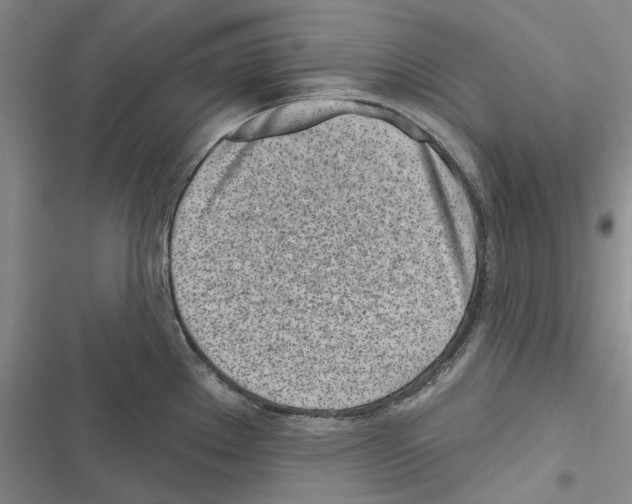 X0000116811289201001151136