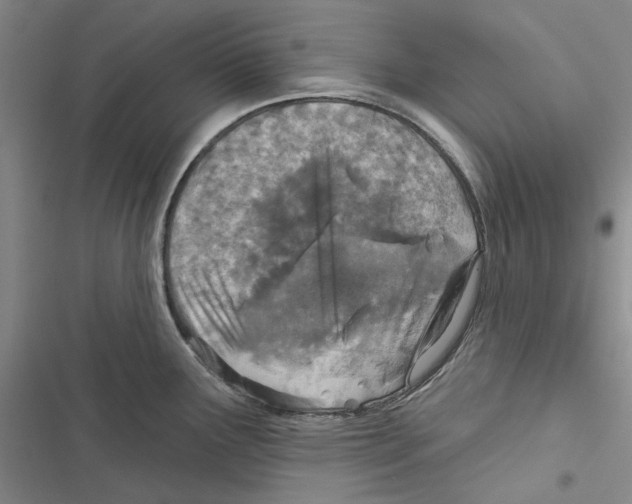 X0000116811291201001151136