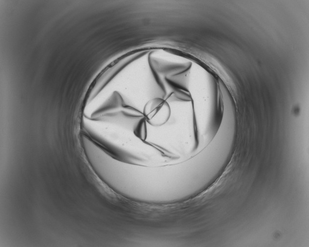 X0000116811292201001151136