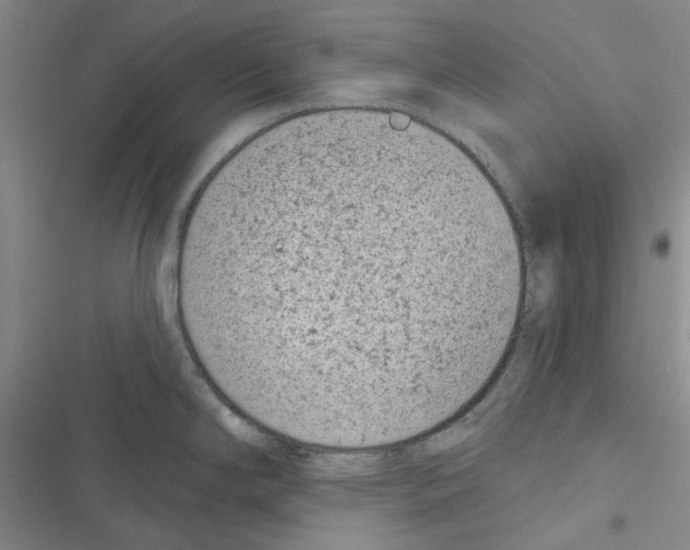 X0000116811294201001151136