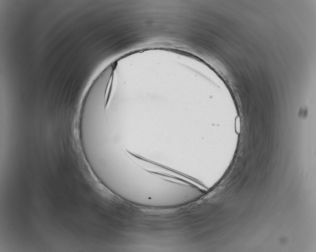 X0000116811296201001151136