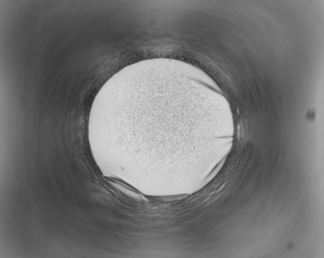 X0000116811299201001151135
